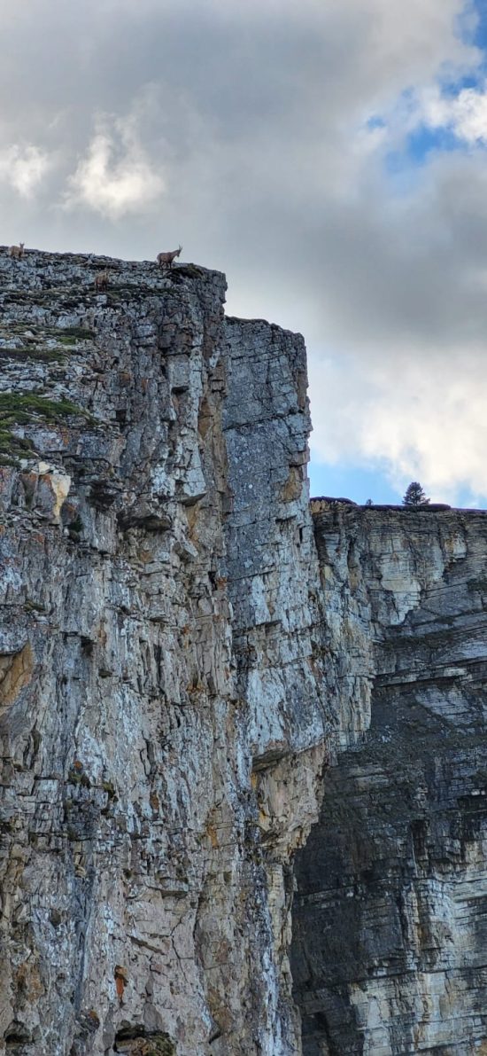 Sortie grande voie - 08/11 - Vercors Chartreuse OIsans